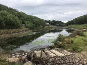 Wales taster Waterside Felindre