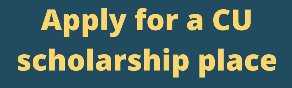 Apply scholarship button