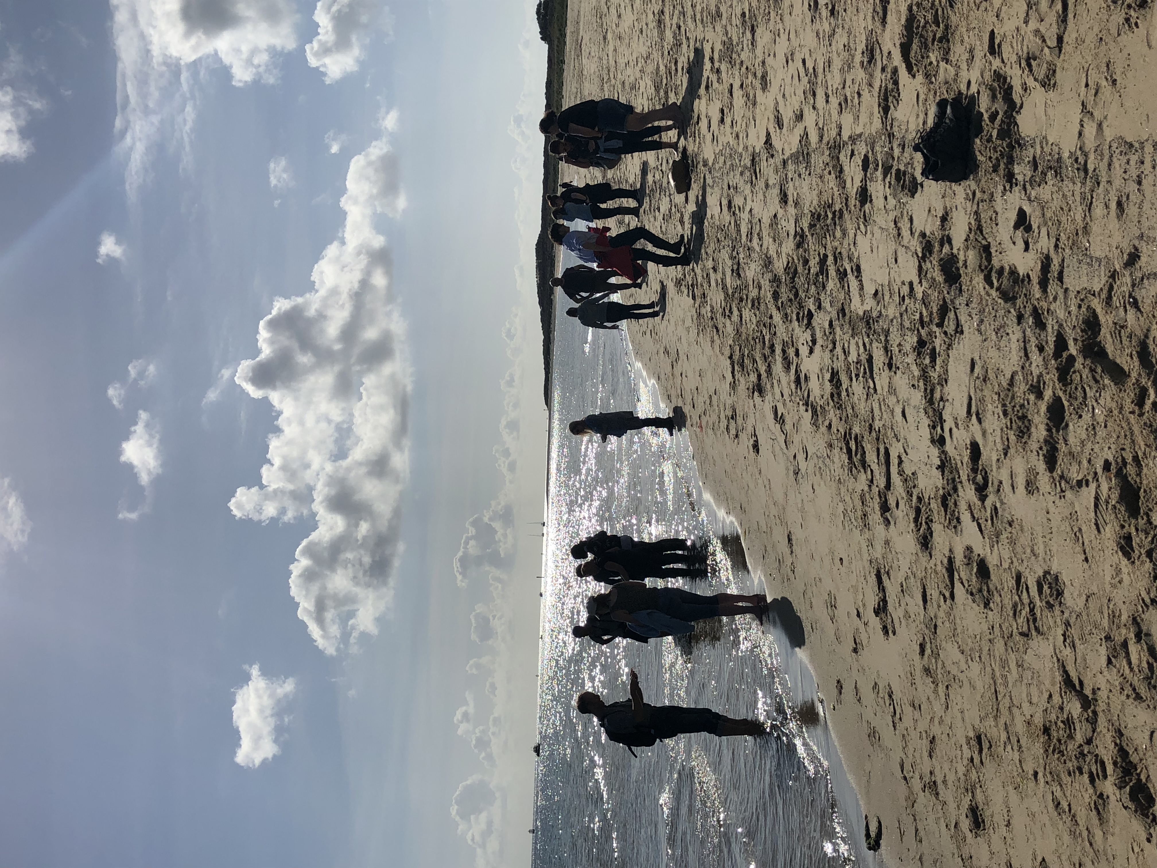 Studland Beach